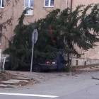 zdjęcie nr 14