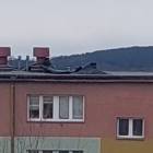 zdjęcie nr 7