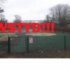 zdjęcie nr 8