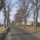 Fotka nr 5 z 6