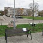 zdjęcie nr 7