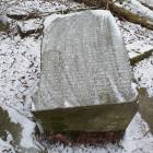 zdjęcie nr 7