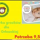 Fotka nr 1 z 3