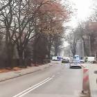 Fotka nr 1 z 3