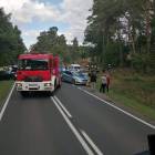 Fotka nr 2 z 4