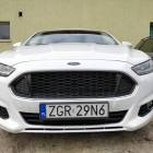 Fotka nr 1 z 2