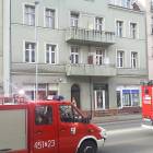 Fotka nr 2 z 3