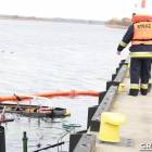 Fotka nr 4 z 13