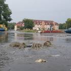zdjęcie nr 8
