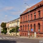 zdjęcie nr 8