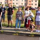 zdjęcie nr 42
