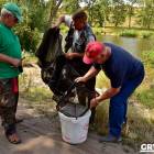 zdjęcie nr 46
