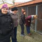 Fotka nr 4 z 7