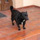Fotka nr 1 z 8