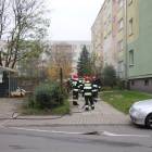 zdjęcie nr 17