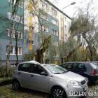zdjęcie nr 8