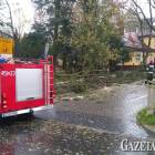 zdjęcie nr 13