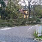 zdjęcie nr 29