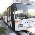 zdjęcie nr 13