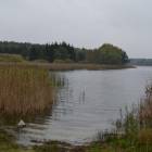 Fotka nr 2 z 4
