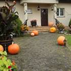 zdjęcie nr 8