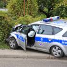 zdjęcie nr 7