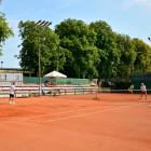zdjęcie nr 12