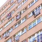 zdjęcie nr 13