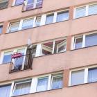 zdjęcie nr 8