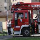 Fotka nr 5 z 14