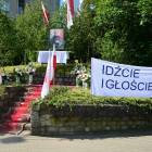 zdjęcie nr 279