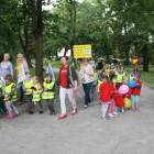 zdjęcie nr 8