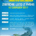 Fotka nr 0 z 14