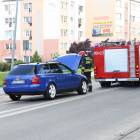 zdjęcie nr 10