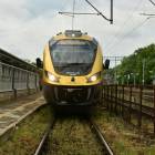 zdjęcie nr 7