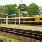 zdjęcie nr 10
