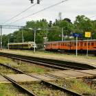 zdjęcie nr 11