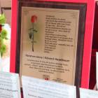 zdjęcie nr 91