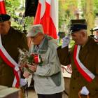 zdjęcie nr 7