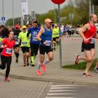 zdjęcie nr 184