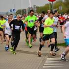 zdjęcie nr 173