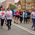 zdjęcie nr 267