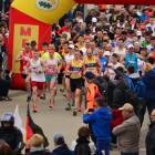 zdjęcie nr 252