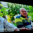 zdjęcie nr 15