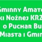 Fotka nr 0 z 2