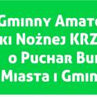 Fotka nr 1 z 2