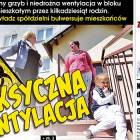 zdjęcie nr 12