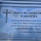 zdjęcie nr 10