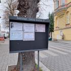 Fotka nr 5 z 6