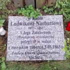 zdjęcie nr 11